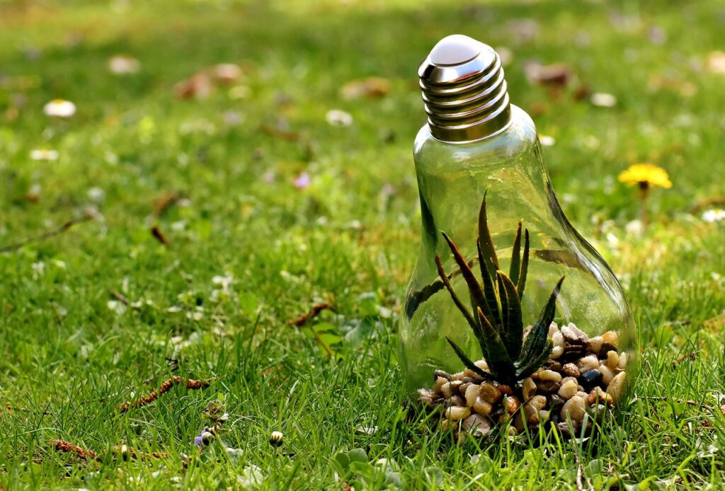 environmental protection, nature, lightbulb, energy, natural reserve, environment, plant, power generation, ideas, electricity, responsibility, environmental protection, environmental protection, environmental protection, environmental protection, environmental protection, energy, electricity, responsibility, responsibility, responsibility, responsibility, responsibility